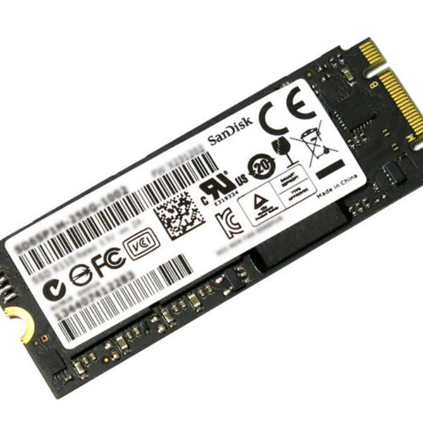 Sandisk A110 NGFF SSD